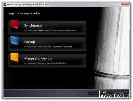 Bamboo File Sync and Backup 3.2.0 Professional Edition
