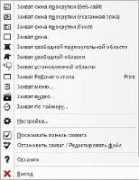 Ashampoo Snap 5.0.2 (Rus/2011)