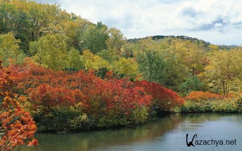 HD Pack Superior Wallpapers (224)