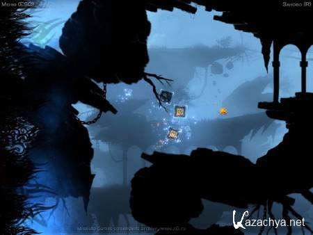 Cubium 2011 Cubium 2011