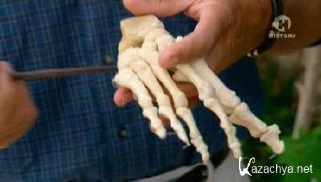 ������ �����? / Excavating Jesus? (2010) SATRip