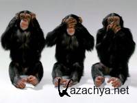 Excellent Wallpapers for PC - ��������� ����� ��� �� � 458