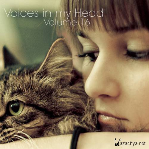 Voices in my Head Volume 16 (2011)
