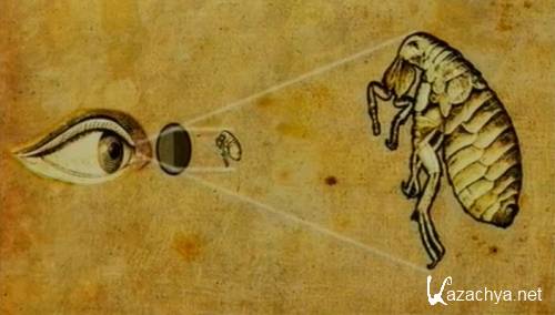 BBC. ������ (3 ����� �� 3)  / BBC. The Cell (2009) SATRip