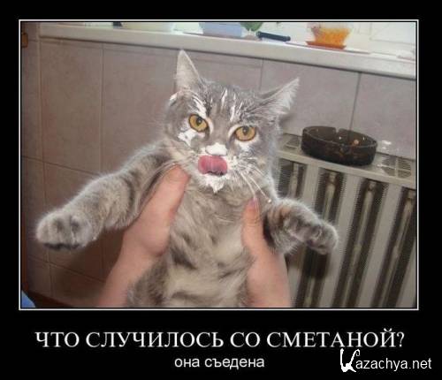 ������������ �� ������ + �����