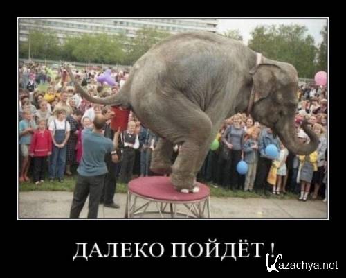 ������������ �� ������ + �����