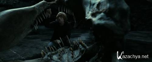 ����� ������ � ���� ������: ����� 2 / Harry Potter and the Deathly Hallows: Part 2 (2011 / BDRip-AVC 720p / 3.01 Gb)