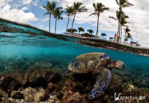 HD Pack Superior Wallpapers (249) HD Pack Superior Wallpapers (249)