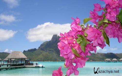 HD Pack Superior Wallpapers (249) HD Pack Superior Wallpapers (249)