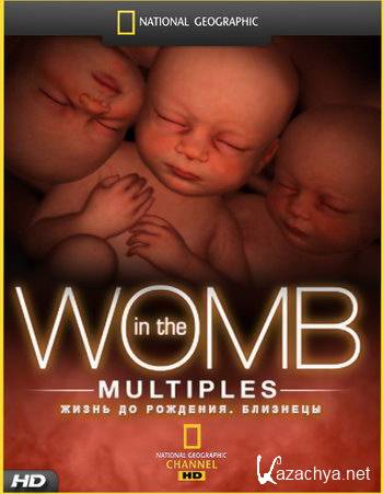   / In the womb (Discovery Channel)