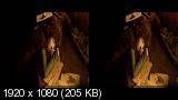    / How to Train Your Dragon (BD3D / BDRip / 1080p / 720p / 2D & 3D) 2010