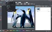 Xara Photo & Graphic Designer 7.1.1.17261 (2011)