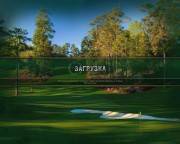 Tiger Woods PGA Tour 12.The Masters (2011/RUS/ENG/Repack by Fenixx)