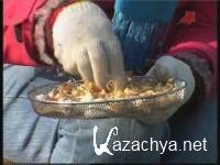 ��������� �������: ������ ������ (2011)  SATRip