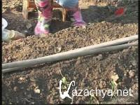 ��������� �������: ������ ������ (2011)  SATRip