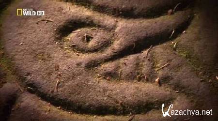 �� ������ ���������� �������. ������� ������ / Beast man. Sea Monster (2010) HDTVRip