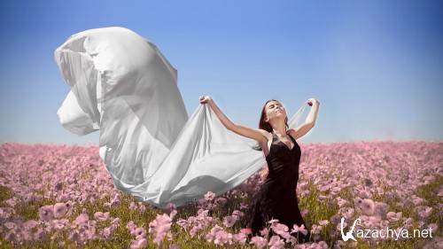 HD Pack Superior Wallpapers (262) HD Pack Superior Wallpapers (262)