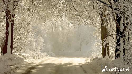 HD Pack Superior Wallpapers (262) HD Pack Superior Wallpapers (262)