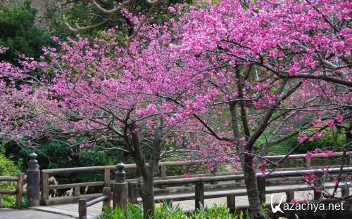 HD Pack Superior Wallpapers (262) HD Pack Superior Wallpapers (262)