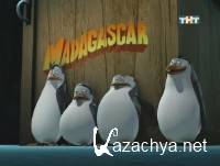    / The Penguins Of Madagascar/ (1 : 48   48) (2008-2010)SATRip