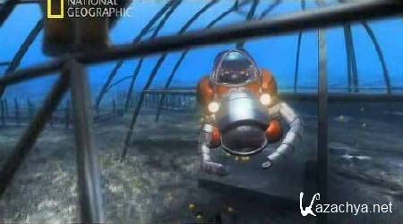 � ����� ������ �����: ��������� ����� / Naked Science: City under the sea (2010) SATRip