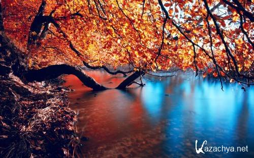 SuperPack Beautiful Mix HD Wallpapers Part 237