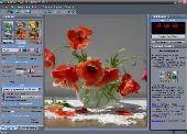 Dynamic Auto-Painter 2.5.5 + Portable x86 2011