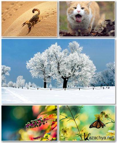 SuperPack Beautiful Mix HD Wallpapers #244