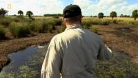  .   / Dangerous Encounters. To Catch a Hippo (2011) HDTVRip