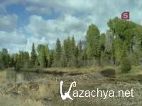 �����: ������� ���������? / Beavers: The Master Builders? (2003) SATRip