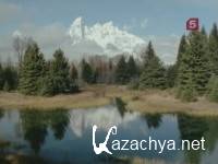 �����: ������� ���������? / Beavers: The Master Builders? (2003) SATRip