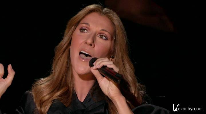 Celine Dion 2007 a New Day... Live in las Vegas.
