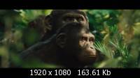    / Rise of the Planet of the Apes (2011) Blu-ray + Remux