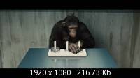    / Rise of the Planet of the Apes (2011) Blu-ray + Remux