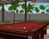 Billard Kings 2 (2011) 