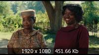  / The Help (2011) Blu-Ray + Remux + BDRip 1080p