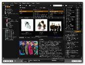 MusicBee 1.3.4334 Multi ()