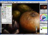 Corel Painter 12.0.1.727 (2011)