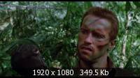  / Predator (1987) Blu-ray + Remux + BDRip 1080p/720p/AVC + DVD5 + HQRip