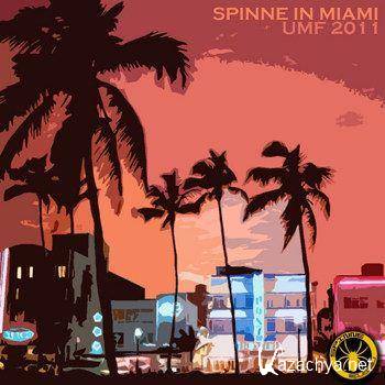 Spinne In Miami UMF 2011 (2011)