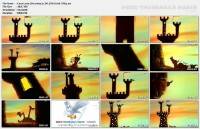 ���� ����! (14 ����� �� 14) / Lava-Lava! (1995 / TVRip)