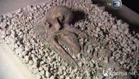 ������������� ���. ����� ������������ �������� / Science Exposed. Vesuvius Time Bomb (2011) SATRip