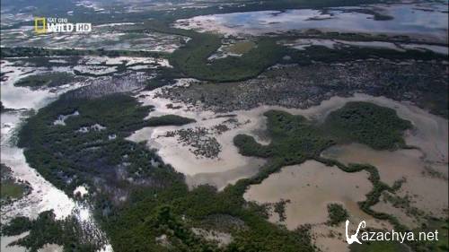:   / Zambezi: A River Untamed (2010) HDTVRip 720p