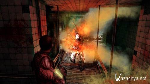 Afterfall InSanity (2011/PC/RUS)