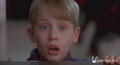   () / Home Alone (1990-2002) DVDRip