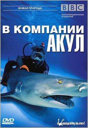 BBC.    / Swimming with Sharks (2002 / DVDRip)