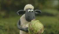   (1-80   80) / Shaun the Sheep / 2007-2010) DVDRip