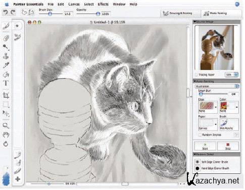 COREL Painter Essentials v 4.0.1.58