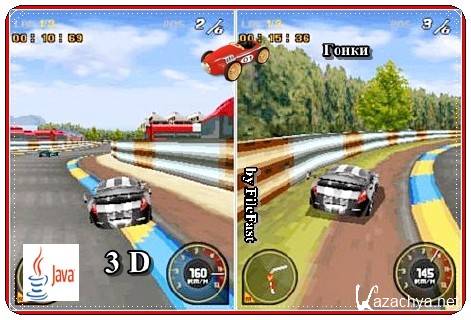 Race Driver Grid 3D /   3D