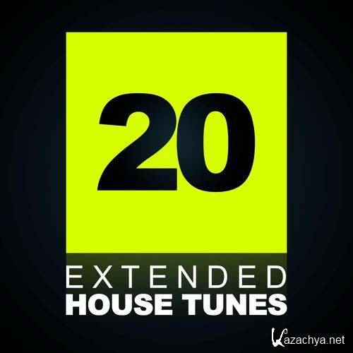 20 Extended House Tunes (2011)